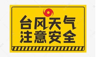 新华网