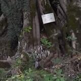 新华网