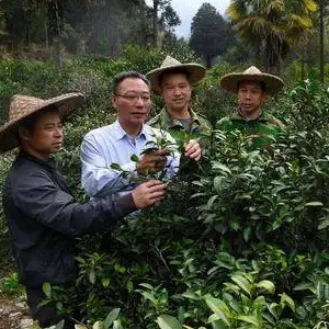 新华网